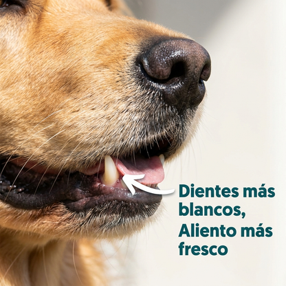 Dientes mas blancos aliento mas fresco